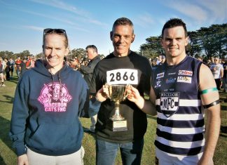 Cats by just one point! Cats by One-point