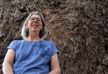 Living treasures Maldon's Bev Phillips with one of the town's pre-European living treasures - a Eucalyptus melliodora, or yellow box, estimated to be 530 years old.