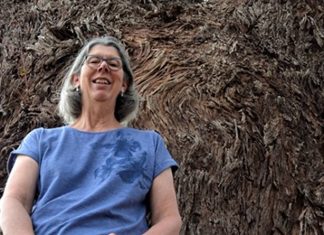Living treasures Maldon's Bev Phillips with one of the town's pre-European living treasures - a Eucalyptus melliodora, or yellow box, estimated to be 530 years old.