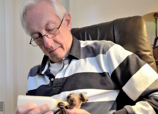 Wildlife carers slam proposal Local wildlife rescuer Ian Slattery with orphaned kangaroo joey Charlie who lost his mother to road trauma.