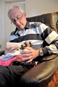 Local wildlife rescuer Ian Slattery with orphaned kangaroo joey Charlie who lost his mother to road trauma.
