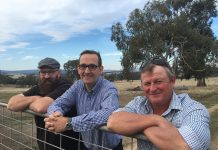 Meet the Dads Club Dads Club committee members Luke Spielvogel, Mark Constable and Andrew Watt.