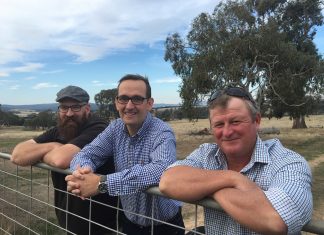 Meet the Dads Club Dads Club committee members Luke Spielvogel, Mark Constable and Andrew Watt.
