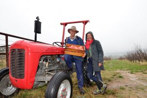 Mount Alexander Fruit Garden's Hugh and Katie Finlay are among the founding members of a ground-breaking new local organic farming co-op venture.