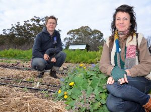 Sas Allardice and Mel Willard of Gung Hoe Growers are among those at Harcourt welcoming grants to help combat Queensland fruit fly.