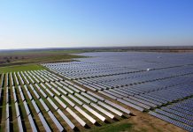 $195M solar farm bid
