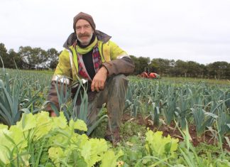 Fight to keep farm Angelica Organic Farm's Tim Wyatt has been farming for 12 years and doesn't want to see it come to an end.