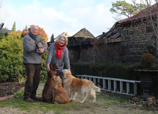 Highbank hopes Michael Dowding and Tonia Todman with their cat Audrey, and dogs Bella, Rosie and Lucy.
