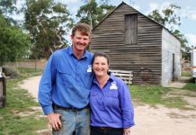 Pigs do fly! McIvor Farm Foods' Jason and Belinda Hagan specialise in pasture-raised, ethically grown, old breed of pigs.