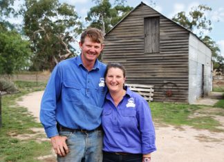 Pigs do fly! McIvor Farm Foods' Jason and Belinda Hagan specialise in pasture-raised, ethically grown, old breed of pigs.