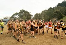 Hawks stay alive! Tempers were frayed during an ugly quarter time melee involving a large number of Woodend-Hesket and Romsey players on Saturday. After the shouting, shoving and skirmishing subsided, Redbacks' Jack Jedwab and Phil Romerill found themselves yellow-carded and banned for 15 minutes in the second term.