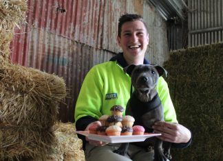 Pick up a Perry’s pupcake Perry's stock feed manager Kyle Baboth is pictured with Billie the staffy.