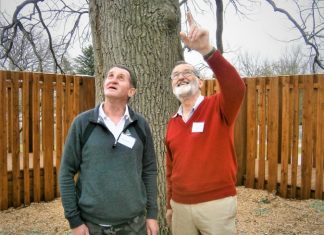 Opening day jubilation Very impressed: Wurundjiri Elder Perry Wandin (at left) and former Romsey Primary School principal Trevor Turnham - in charge at the old school for 11 years and the current one for five - chat beneath the historic oak tree featured in the park section. Both were highly impressed with the transformation of the old school and first stage of the ecotheraphy park. Perry spoke earlier to the gathering about traditional owners' involvement in the Macedon Ranges.