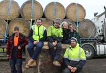 Hay big senders! Loading the hay on Friday were James Worth, International Racehorse Transport managing director Chris Burke, Central Land Management Services' Andrew Scanlon, Jake Sutherland, Ray Saunders and Laverne Saunders.