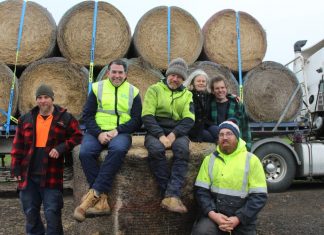 Hay big senders! Loading the hay on Friday were James Worth, International Racehorse Transport managing director Chris Burke, Central Land Management Services' Andrew Scanlon, Jake Sutherland, Ray Saunders and Laverne Saunders.