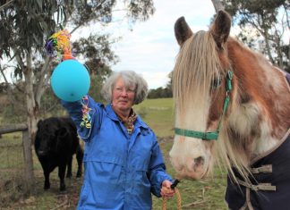 Balloons no party for wildlife