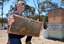 The buzz on honey Castlemaine beekeeper and Australia Honey Bee Industry Council chairman, Peter McDonald.