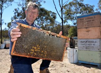 The buzz on honey Castlemaine beekeeper and Australia Honey Bee Industry Council chairman, Peter McDonald.