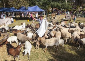Fun on the farm Carlsruhe Fire Brigade's Wine and Food Festival will be held at Farmer Darryl's Animal Farm in Kyneton on November 4. Photo: Howard Maylor
