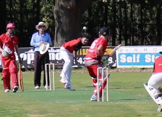 The Woodsmen hammer 0/228