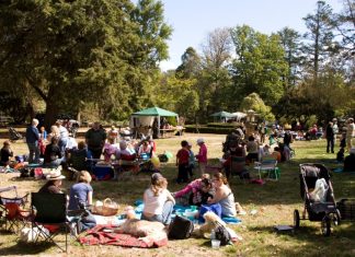 In need of TLC Kyneton's botanic gardens have the potential to be a real visitor drawcard but are in need of some tender loving care.