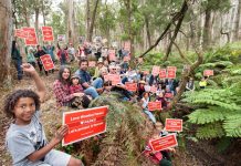 Forest fears furore More than 60 local people gather in a cool wet gully to show their support for all the endangered species that exist in the Wombat Forest. They support the Victorian Environmental Assessment Council's proposal for a combination of regional, national and conservation parks in the area. Photo: Sandy Scheltema