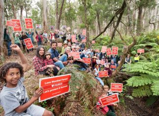 Forest fears furore More than 60 local people gather in a cool wet gully to show their support for all the endangered species that exist in the Wombat Forest. They support the Victorian Environmental Assessment Council's proposal for a combination of regional, national and conservation parks in the area. Photo: Sandy Scheltema