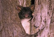 Urgent call for change