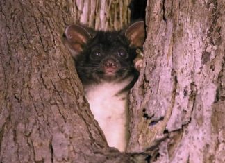 Urgent call for change