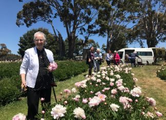 Peonies bring joy to special visitors
