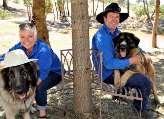 New pooch park proving popular