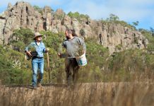 Protecting precious species Newham Landcare member Penny Roberts and Hanging Rock environmental officer Daniel Young discuss where to plant the nationally endangered basalt peppercress at Hanging Rock Reserve. Photo: Sandy Scheltema