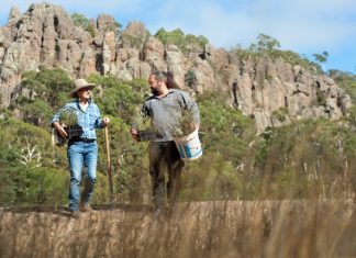 Protecting precious species Newham Landcare member Penny Roberts and Hanging Rock environmental officer Daniel Young discuss where to plant the nationally endangered basalt peppercress at Hanging Rock Reserve. Photo: Sandy Scheltema