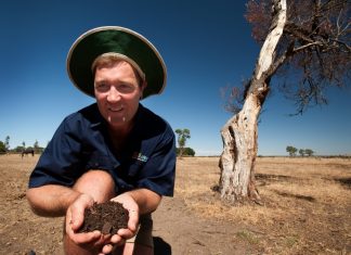 Soil scientists share knowledge Soil scientist Christian Bannan from South East Soil and Water is one of three experts presenting on site at a soil pit on a olive plantation. Photo: Sandy Scheltema