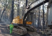 Anti-logging protesters hold up effort