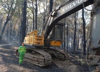 Anti-logging protesters hold up effort
