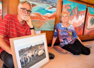 Dramatic palettes Creative Castlemaine couple Rosie McKenry and Bruce Mitchell share their experiences of imposing places in Earth's Shapes and Colours: Australia and beyond.