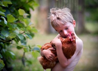Chooks in my back yard Would you like to enjoy fresh eggs, warm from the chook yard, and lots of great fertiliser for your garden, but don't know where to start when it comes to raising chickens? This workshop being run by Pipers Creek Landcare will give you all the answers. Photo: Sandy Scheltema