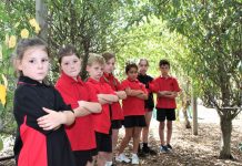 Orchard theft dismay Romsey Primary students Abby, Ruby, Levi, Miley, Leo, Alice and Jaxson are saddened by the loss.