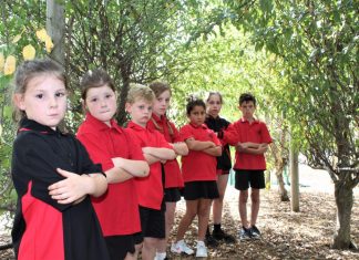 Orchard theft dismay Romsey Primary students Abby, Ruby, Levi, Miley, Leo, Alice and Jaxson are saddened by the loss.