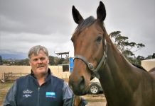 Rank outsider’s debut win Contentment: Mark Ashby and Geraldine's Jewel after the big win at Sandown. Photo: Bill West