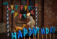 Collectable curiosities – Castlemaine Vintage Bazaar celebrates birthday