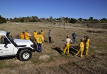 Tackling the ‘wildfire gateway’