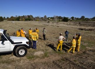Tackling the ‘wildfire gateway’