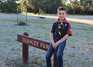 Scouting ideas for park