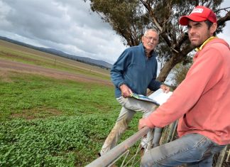 Solar farm debate heats up