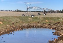 Irrigation plan a silver bullet?