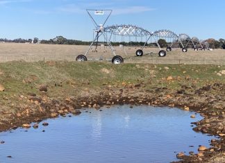 Irrigation plan a silver bullet?