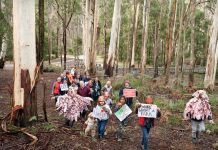 A win for conservation – National Park recommended for the Wombat Forest