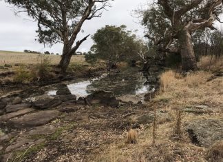 EPA investigates waste discharges